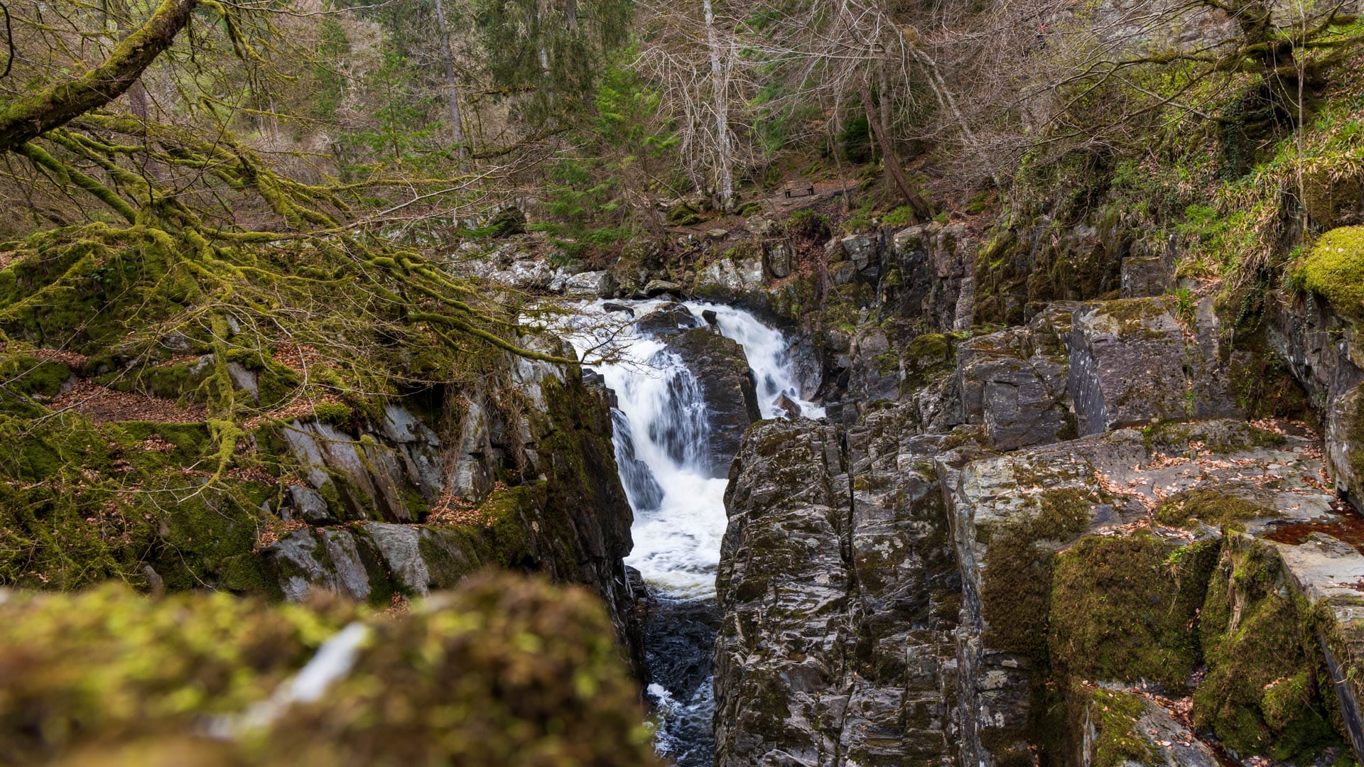 Ein Wasserfall, der sich zwischen Felsen hinabstürzt, umgeben von Bäumen.