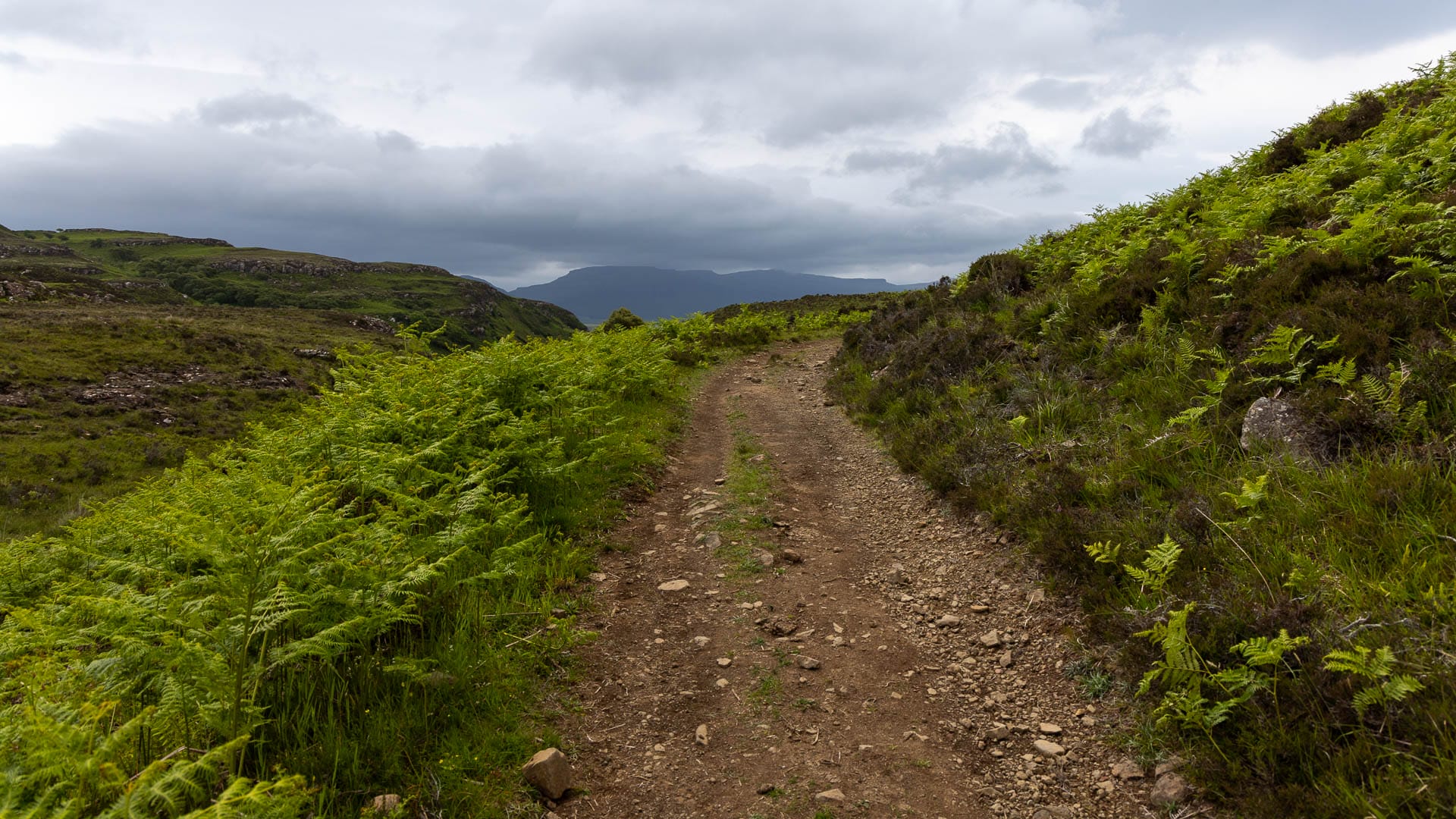 Ein breiter Weg führt über eine Hochlandschaft auf der Insel Ulva