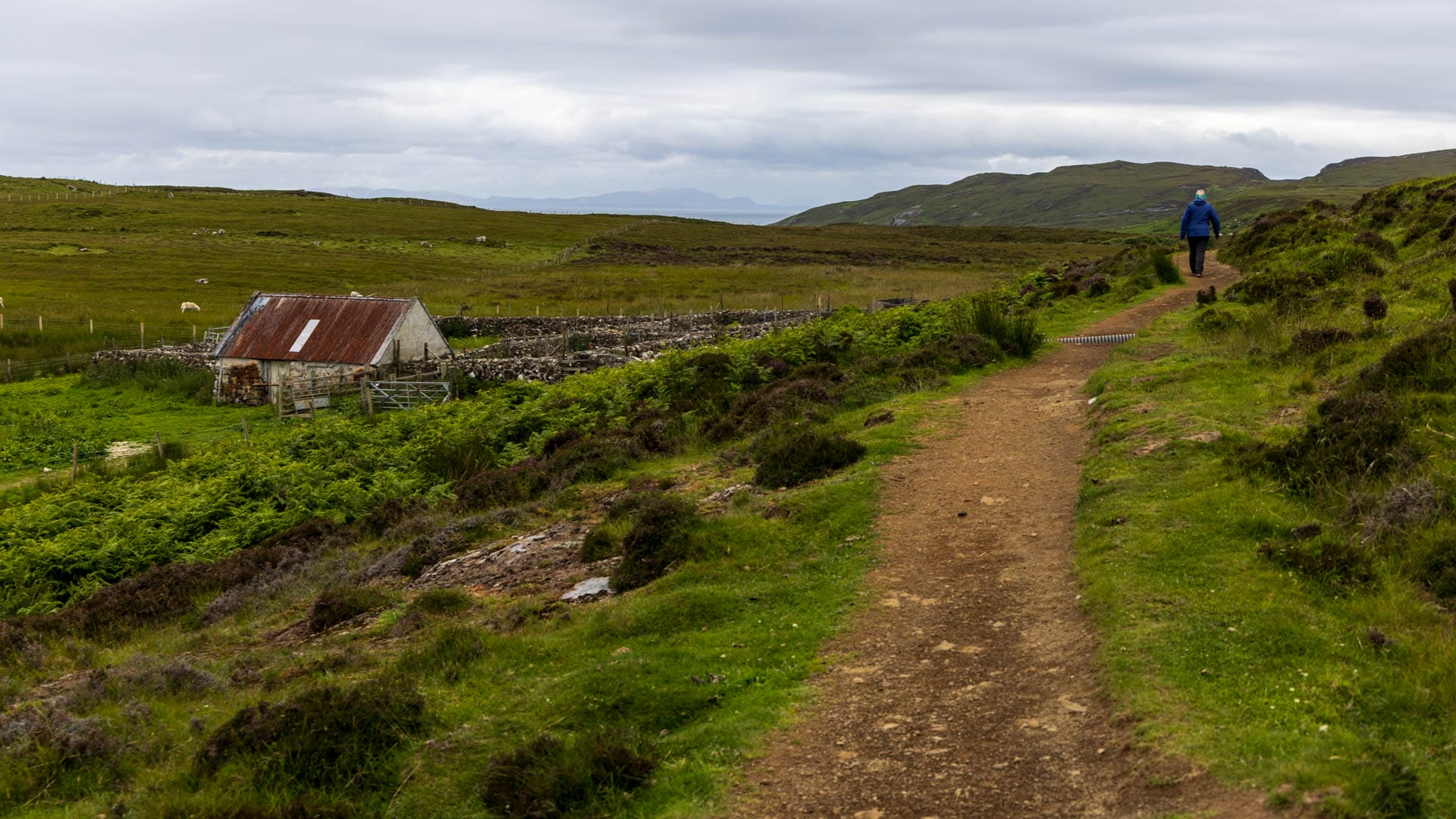 Ein Weg aus Erde und Stein zieht sich durch die Highlands-Landschaft